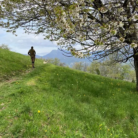 Hébergement de vacances A Cà Rèste *