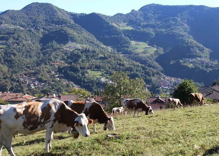 A Cà Rèste Casa vacanze *