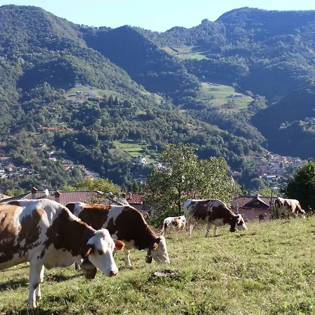 A Ca Reste Tatil Evi *